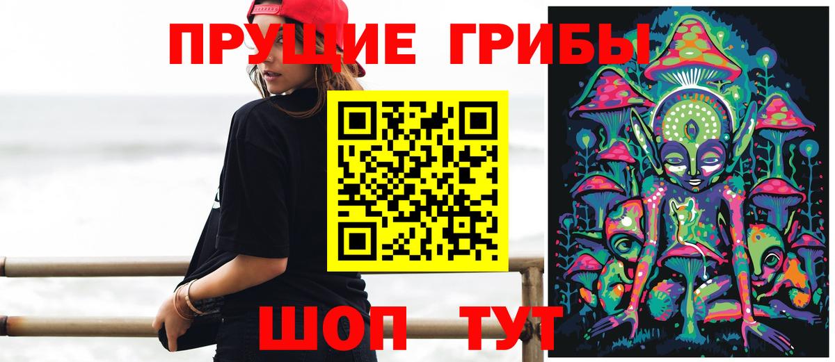 Псилоцибиновые грибы мицелий Волгоград